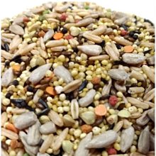 中大型鸚鵡飼料/綜合帶殼穀物/無堅果類、無辣椒乾/適合月輪、和尚、金太陽、灰鸚等/非藍亞仕/非合美健/非波飛/倉鼠飼料 歷史價格詳細信息