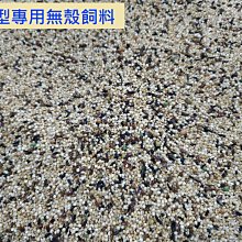 鳥類專科獸醫監修！鸚鵡飼育小百科：從飼育、訓練到與鸚鵡相伴一 歷史價格詳細信息