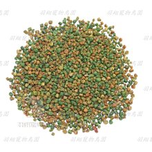 綠繡眼羽翼項鍊｜創新融入生活突顯佩戴者的性格、品味與風格 歷史價格詳細信息