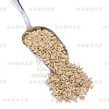 【羽翔生技】台灣製 白櫻花®環保洗碗精4000g 碗盤清潔劑.油污洗碗液洗潔液.純中性溫和低污染.各大醫院餐廳飯店皆使用 歷史價格詳細信息