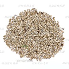 寵物帶頂狗圍欄貓籠子小型犬泰迪博美狗塑料柵欄法斗護欄江桃溪 歷史價格詳細信息