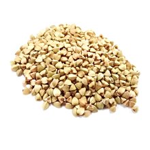 蜜袋鼯飼養籠小飛鼠鸚鵡籠蜜袋鼬專用籠子保溫箱松鼠籠實木飼養箱 歷史價格詳細信息