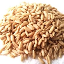 精選進口青芳製作所不鏽鋼復古手動咖啡豆研磨機·手搖磨豆磨粉器 歷史價格詳細信息