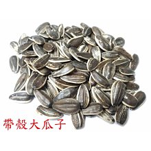 蜜袋鼯飼養籠小飛鼠鸚鵡籠蜜袋鼬專用籠子保溫箱松鼠籠實木飼養箱 歷史價格詳細信息