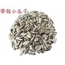 鸚鵡 蜜袋鼯 鳥類 刺蝟 兔貂 小動物廣口陶瓷保溫燈 寵物用保暖加熱燈 廣口萬向保暖燈 聚熱夾燈（不含燈泡）每件250元 歷史價格詳細信息