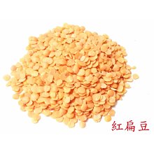 寵物倉鼠挖刨箱金絲熊躲避窩夏季避暑趣味景觀木屋挖掘房造景用品 歷史價格詳細信息