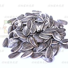 【羽翔生技】台灣製 白櫻花®玻璃清潔劑3800g 窗戶亮光清潔液.汽車擋風玻璃去污劑.鏡子螢幕清潔居家.醫院餐廳飯店使用 歷史價格詳細信息