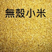 鳥飼料-無殼加那子-100克/細豆仁/細多仁/無殼細豆/無殼細多/鸚鵡飼料/雀科飼料/倉鼠飼料 歷史價格詳細信息