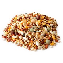 【可超取】鴿子飼料10斤一袋/綜合雜糧飼料/倉鼠飼料~鴿子,斑鴆,斑鴆,麻雀,鸚鵡等野外鳥類和零嘴 價格比較,價格查詢,歷史價格詳細信息