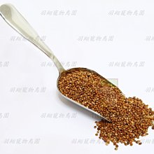 【羽翔生技】台灣製 白櫻花®環保洗碗精4000g 碗盤清潔劑.油污洗碗液洗潔液.純中性溫和低污染.各大醫院餐廳飯店皆使用 歷史價格詳細信息