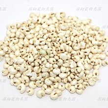 寵物小零食 GOODIES機能保健潔牙棒 1盒(24包) 皮毛/骨質/關節保健 寵物零食 紓壓 犬用保健食品 潔牙骨 歷史價格詳細信息