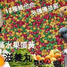 【滋養軒】清餡綠豆椪禮盒（12粒） 歷史價格詳細信息