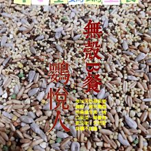鳥飼料-無殼加那子-100克/細豆仁/細多仁/無殼細豆/無殼細多/鸚鵡飼料/雀科飼料/倉鼠飼料 歷史價格詳細信息