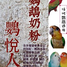 鳥鳥 吸蜜鸚鵡紅包袋 一組/5入 │紅包袋加購區 春節紅包 過年送禮《寵物鳥世界》CC079 歷史價格詳細信息