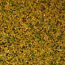 2斤 (35號) 大中小型鸚鵡飼料/精緻塔頂端高級日糧 (粹料飼料) 適用各種鸚鵡 歷史價格詳細信息