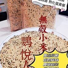 【無蛋黃】台式肉粽 5顆/袋【預購】 【新東陽官方旗艦店】 肉粽 台式肉粽 粽子 端午肉粽 無蛋黃粽 粽子 北部粽 歷史價格詳細信息