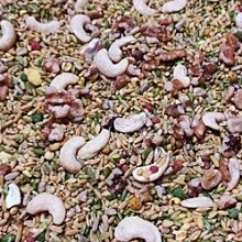 中大型有殼飼料(6號)-5公斤 歷史價格詳細信息