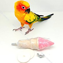 AVIAN WORLD 趣味串珠系列-搖擺雙響炮│鞦韆玩具 鳥玩具 小鳥鞦韆 小型鳥 雀科《寵物鳥世界》DA0646 歷史價格詳細信息