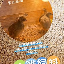 蘆丁雞飼養箱育雛養殖木箱子倉鼠房子實木豪華恒溫造景大別墅 歷史價格詳細信息