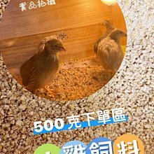 蘆丁雞飼養箱育雛養殖木箱子倉鼠房子實木豪華恒溫造景大別墅 歷史價格詳細信息