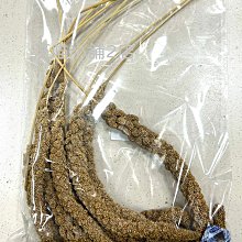 ☆汪喵小舖2店☆ 鼠鼠專區 lilliphut 麗利寶小動物培林靜音轉輪25公分 靜音滾輪含腳架 TM2622 適合松鼠 歷史價格詳細信息