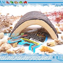 【魚店亂亂賣】美國BWA  15倍濃縮硝化菌 2L 啟動版XLM  活缸啟動劑BRIGHTWELL AQUATICS 歷史價格詳細信息