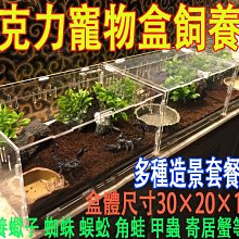 鍬形蟲.兜蟲 世界的甲蟲 江良達雄 彭春美 漢欣文化 無劃記 26T 歷史價格詳細信息