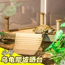 巴西木水養幸運木開花格魯特小樹人四季綠植室內桌面盆栽水培植物 歷史價格詳細信息