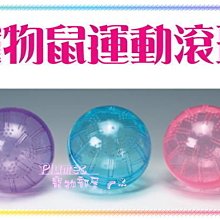 【Plumes寵物部屋】台灣精品Hello Pet《塑柄圓彎不銹鋼軟針按摩針梳L》小動物犬貓狗適用MJQ002【可超取】 歷史價格詳細信息