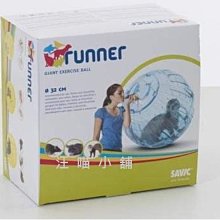 ☆汪喵小舖2店☆ 美國 Petstages 犬用潔牙玩具-牛肝脈棒S-小型犬 // 堅固耐啃咬.牛肝風味 歷史價格詳細信息