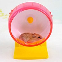 ➽皓哥小鋪 狗狗/貓貓防滑除跳蚤梳 中小型犬貓適用梳子 適合中小型寵物使用 歷史價格詳細信息