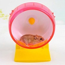 ➽皓哥小鋪 狗狗/貓貓防滑除跳蚤梳 中小型犬貓適用梳子 適合中小型寵物使用 歷史價格詳細信息