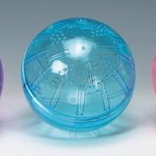 【監獄寵物館】日本 PETCO 寵物綁帶生理褲 **破盤大特價優惠，賣完不再進貨** 歷史價格詳細信息