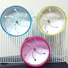 【監獄寵物館】日本 PETCO 寵物綁帶生理褲 **破盤大特價優惠，賣完不再進貨** 歷史價格詳細信息