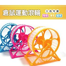 【億品會】兔子便盆 兔子廁所 小動物廁所 天竺鼠廁所 厚邊便盆 四角便盆 方形便盆 兔便盆 兔廁所 可固定 高檔板防噴尿 歷史價格詳細信息