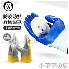 倉鼠 金花 松鼠 龍貓外帶包 蜜袋鼯寵物便攜包 小寵物揹包 楓葉 一線鼠 金絲熊 布丁鼠 家有寵愛卡諾 歷史價格詳細信息