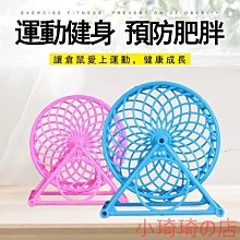 倉鼠滾輪 倉鼠跑輪 倉鼠運動跑輪 雙軸承跑輪 高級跑輪 小寵物跑輪 倉鼠運動玩具 倉鼠運動休閒玩具 倉鼠玩具 倉鼠減肥 歷史價格詳細信息