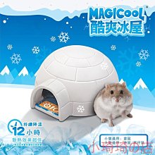 倉鼠降溫屋 倉鼠降溫用品 寵物降溫避暑 倉鼠夏季睡窩 夏季降溫 倉鼠窩 黃金鼠窩 倉鼠冰屋 歷史價格詳細信息