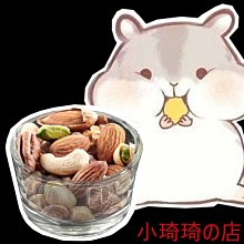 爬蟲餵食盆/爬蟲水盆/食盆/水皿/鬆獅蜥/角蛙 歷史價格詳細信息