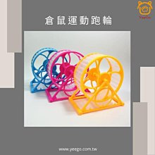 【億品會】兔子便盆 兔子廁所 小動物廁所 天竺鼠廁所 厚邊便盆 四角便盆 方形便盆 兔便盆 兔廁所 可固定 高檔板防噴尿 歷史價格詳細信息