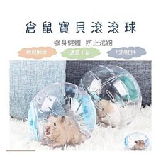 倉鼠滾球 倉鼠健身球 倉鼠跑球 倉鼠球 倉鼠玩具 老鼠球 倉鼠水晶球 倉鼠玩具球 倉鼠牽引繩 倉鼠運動跑球 歷史價格詳細信息