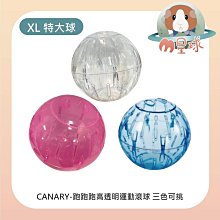 M星球【CANARY】向春園四角提摩西草磚350g〔磨牙點心/磨牙零食/磨牙草磚/兔子零食/天竺鼠/龍貓〕 歷史價格詳細信息