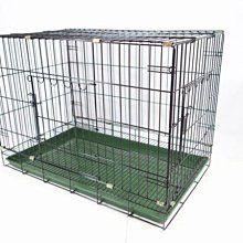 雙門踏板專利補鼠龍 捕鼠器 (3入) 歷史價格詳細信息