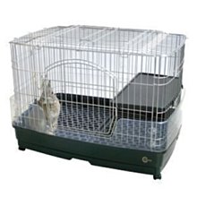 Marukan 小動物兔貂鼠 仿玉米狀啃木 磨牙木 磨齒棒 咬咬木 MR-213（L）每根140元 歷史價格詳細信息
