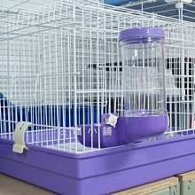 ☆汪喵小舖2店☆ A STAR 兔專用木瓜酵素強力化毛粉 60克 歷史價格詳細信息