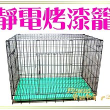 【Plumes寵物部屋】美國STARMARK《星記互動式浮水飛盤-標準號》犬用玩具/軟式飛盤 歷史價格詳細信息