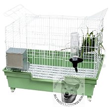 皇冠 ACEPET 舒樂高邊防撥沙 雙層貓砂盆 貓沙盆 貓便盆 貓廁所＃871-D（含 砂鏟）439元 歷史價格詳細信息