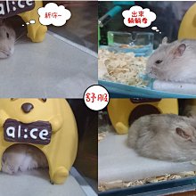 最高精度【TopDIY】EV5333SHP (五位高精度) 電壓表 迷你型 鋰電 數位 DC直流 四線式 LED 電壓錶 歷史價格詳細信息