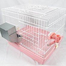 NO 寵物胸背帶 寵物自背包 寵物書包 胸背牽引繩 胸揹帶背包 泰迪柯基博美狗狗包包 喵咪背包 寵物後背包 歷史價格詳細信息