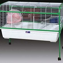 【監獄寵物館】日本 PETCO 寵物綁帶生理褲 **破盤大特價優惠，賣完不再進貨** 歷史價格詳細信息